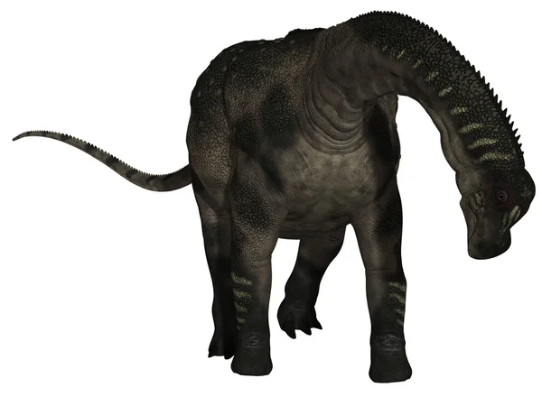 Antarctosaurus - 3d δεινόσαυρος — Φωτογραφία Αρχείου