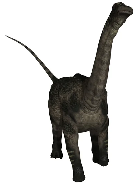 Antarctosaurus - 3d δεινόσαυρος — Φωτογραφία Αρχείου