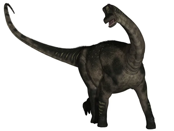 Az Antarctosaurus - 3d dinoszaurusz — Stock Fotó