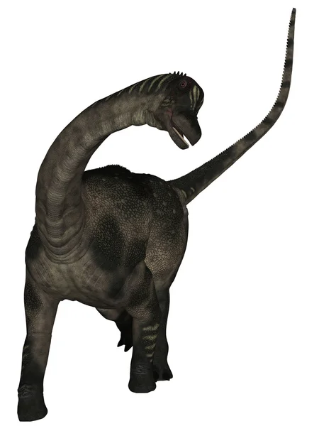 Antarctosaurus - 3d dinosaurie — Stockfoto