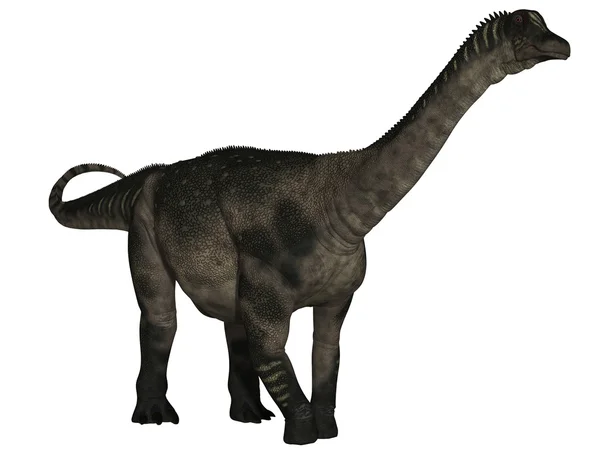 Antarctosaurus - Dinosaurio 3D —  Fotos de Stock
