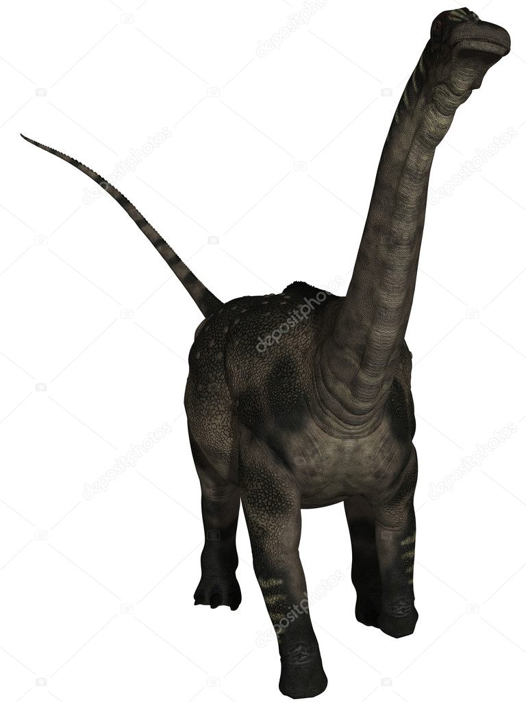 Antarctosaurus - 3D Dinosaur — Stock Photo © Digitalstudio #7794698