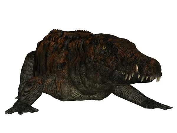 Uberabasuchus terrificus terrificus — Foto Stock