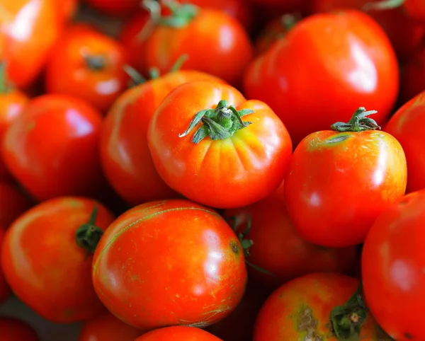 Tomates dispostos no mercado — Fotografia de Stock