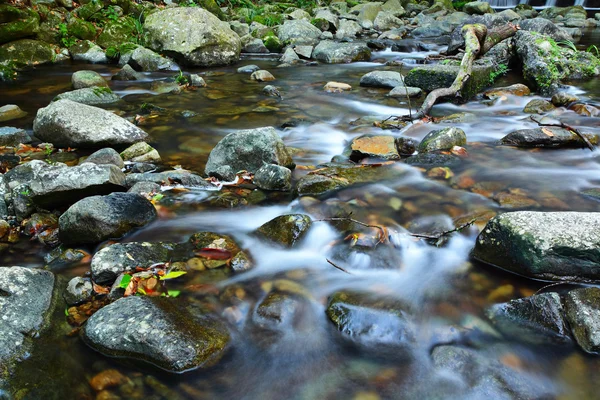 Fonte de água na floresta — Fotografia de Stock