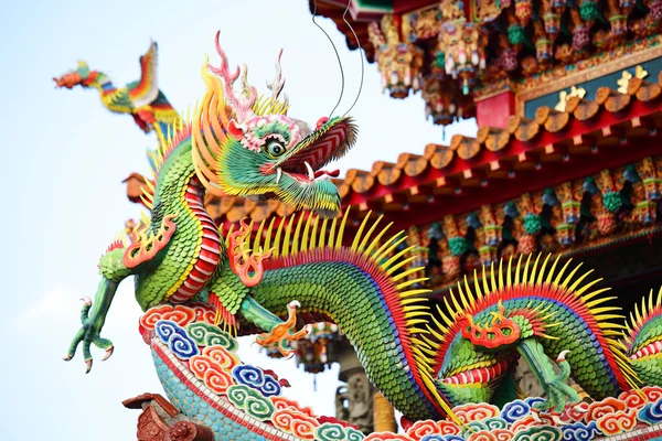 Dragon on the roof — Stock Photo, Image