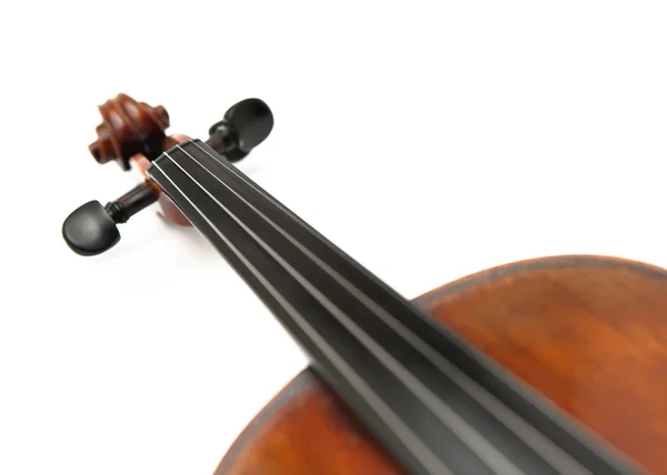 Cabeça de violino — Fotografia de Stock