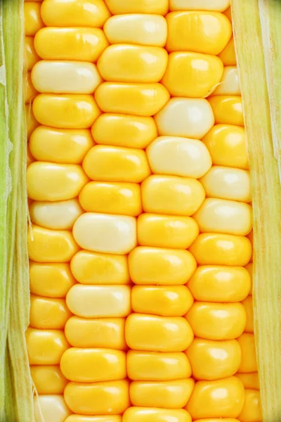 Corn close up — Stock Photo, Image
