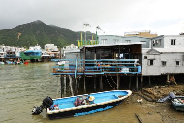 Tai o, hong Kong'da balıkçı köyü