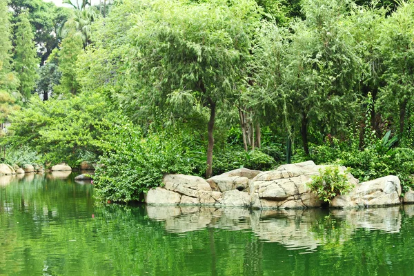 공원 연못 — 스톡 사진