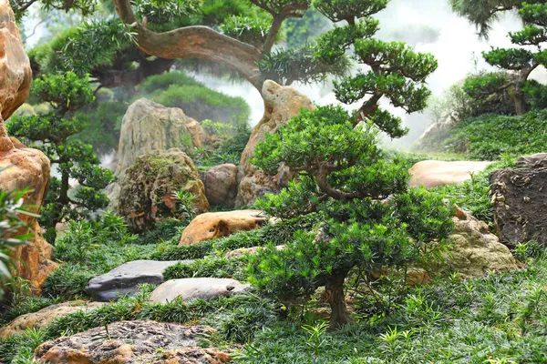 中国园林植物 — 图库照片