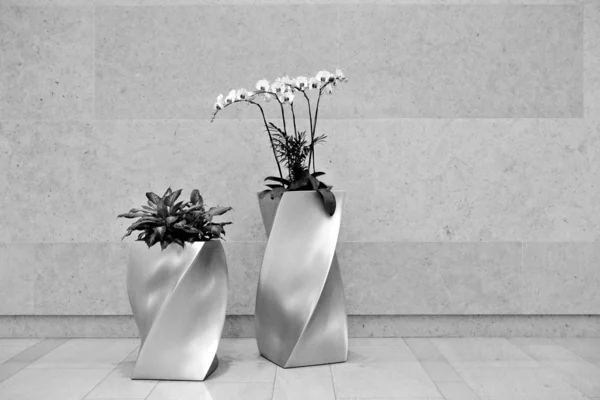 Mooie orchidee in lobby — Stockfoto