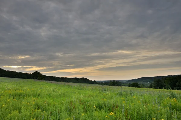 Stock image Rural landscape