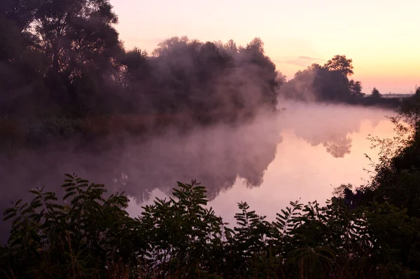 Stock image Foggy river