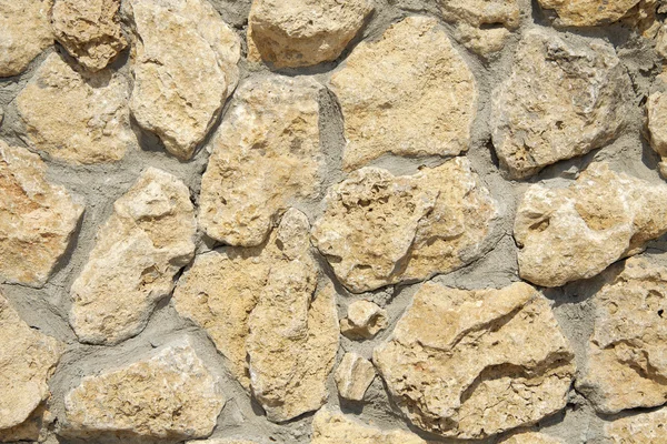 Wall from a shell rock — Stock Photo, Image