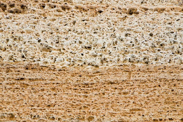 貝の岩からのサンドイッチ — ストック写真