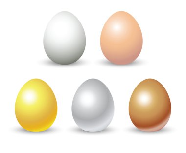 eggs clipart