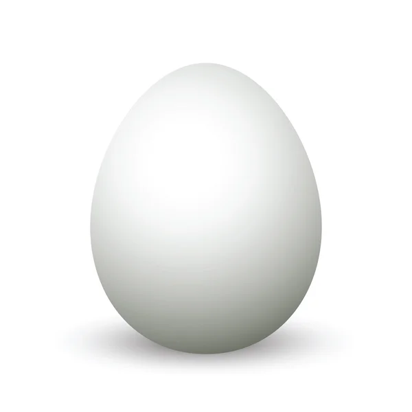 白蛋 — 图库矢量图片