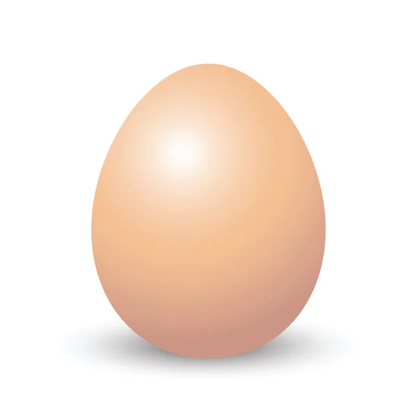 孤立的棕色蛋 — 图库矢量图片