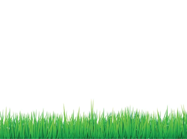 Gräs gränser bakgrund — Stock vektor