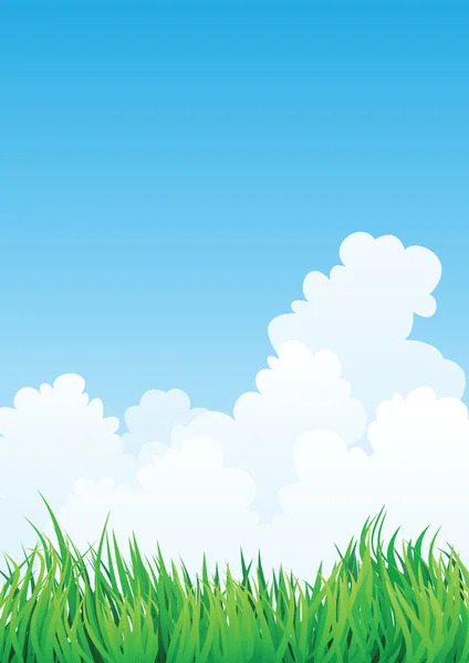 Campo de hierba y cielo azul — Vector de stock