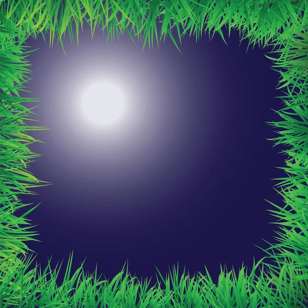 Scena notturna con bordo erba — Vettoriale Stock