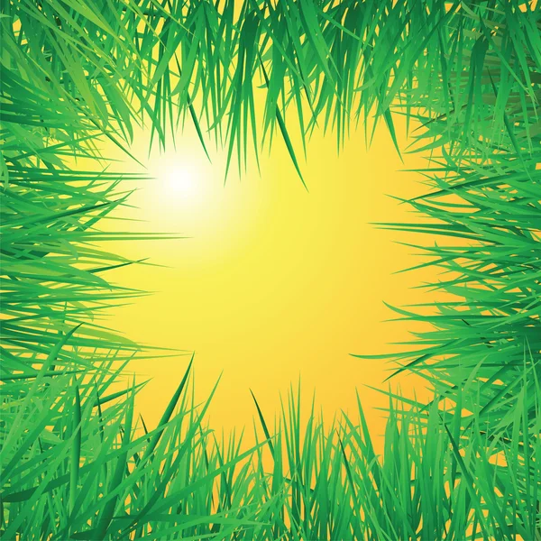 Sunrise gräs — Stock vektor