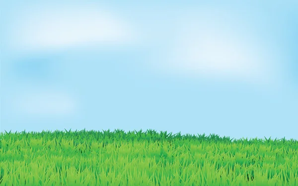 Campo verde e céu azul — Vetor de Stock