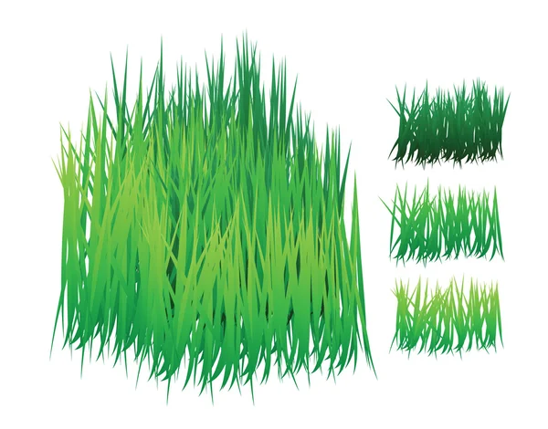 Vettore d'erba — Vettoriale Stock