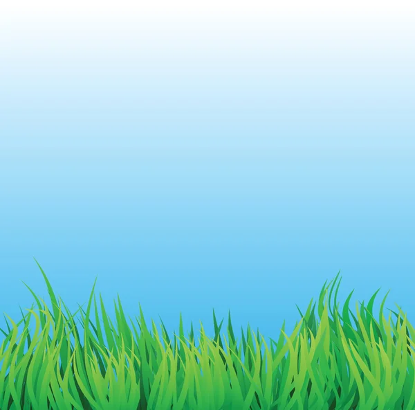 Campo de grama com céu azul — Vetor de Stock