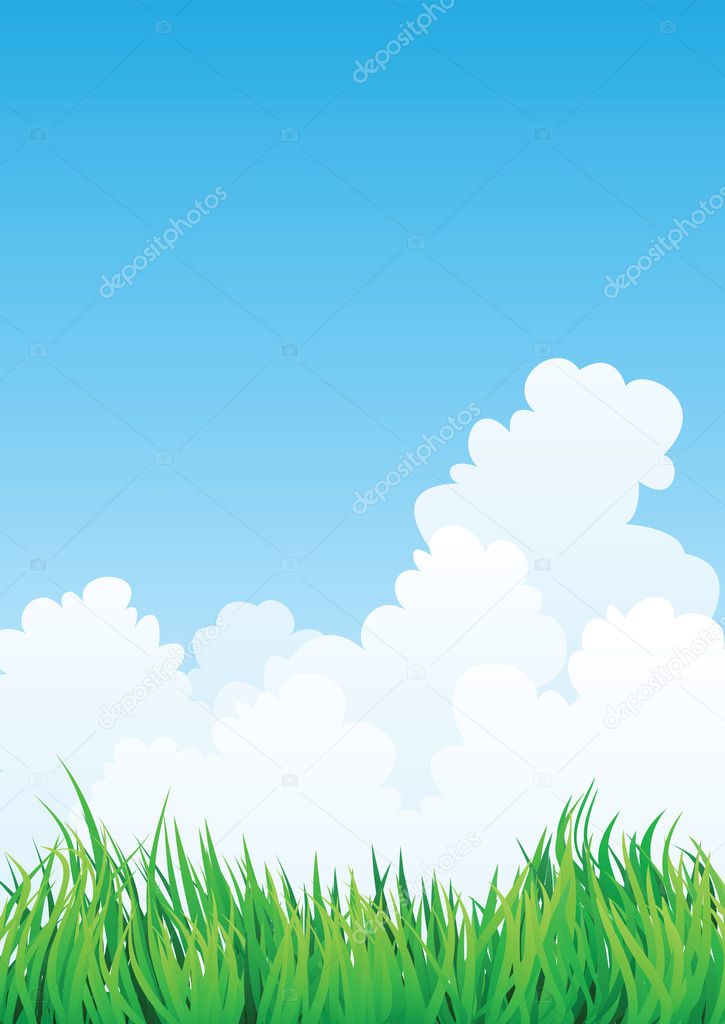 grass field and blue sky