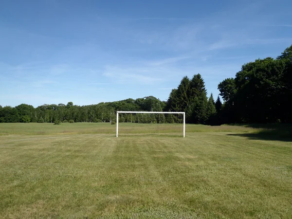 Футбольна ціль у трав'яному полі — стокове фото