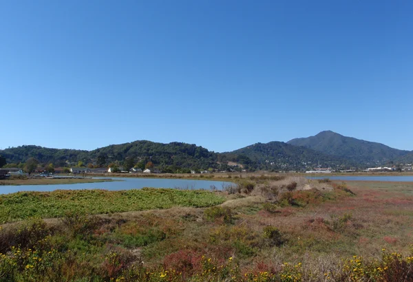 Marin County Ansicht mit dem ruhigen Wasser des Corte Maddera Creek in — Stockfoto