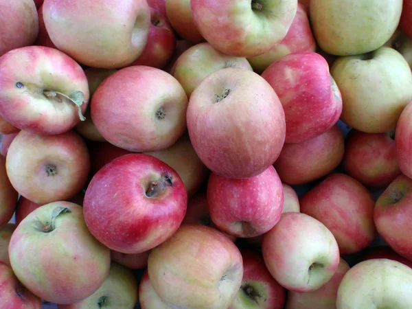 Hromadu malých červených jablek — Stock fotografie