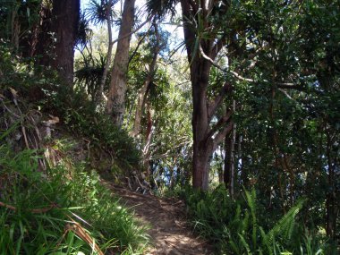 Hiking yol Maui