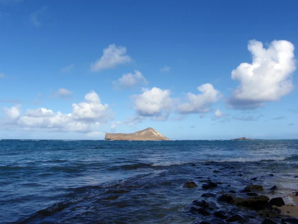 Кам'янистий пляж Waimanalo на Оаху, Гаваї — стокове фото