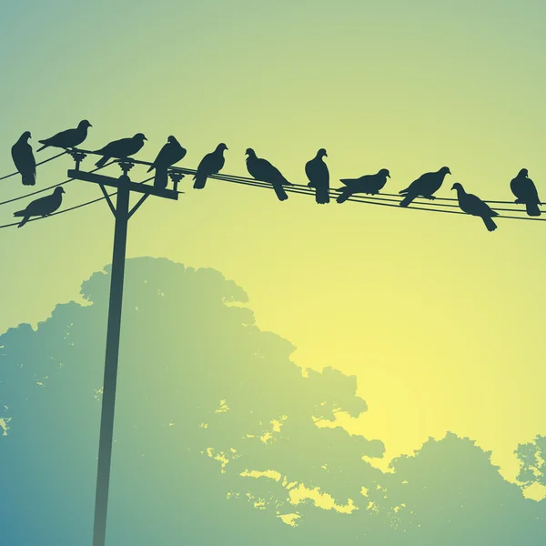 Pájaros en una línea — Vector de stock