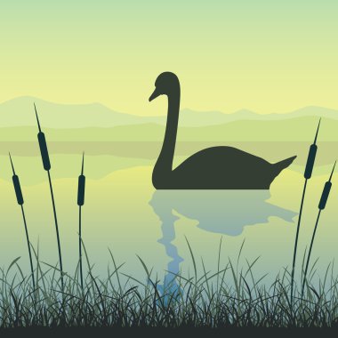 Swan on Lake clipart