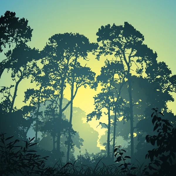 Paysage forestier — Image vectorielle