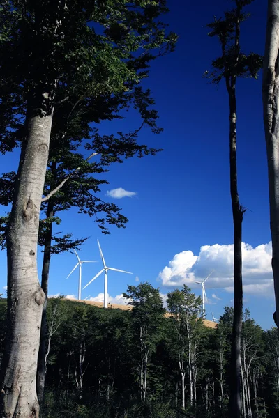 Molinos de viento generadores de energía —  Fotos de Stock