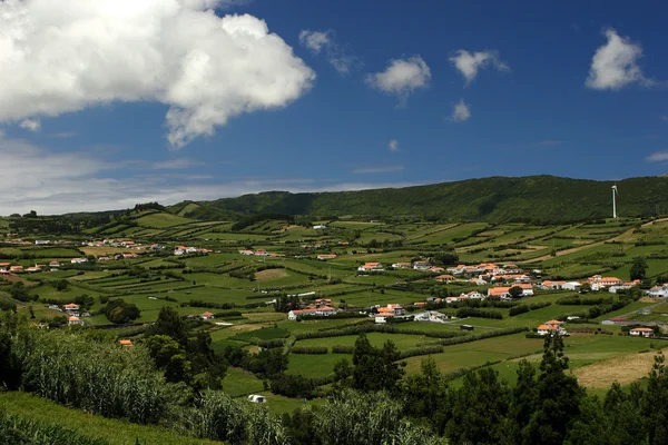 Casas na ilha do Faial — Fotografia de Stock
