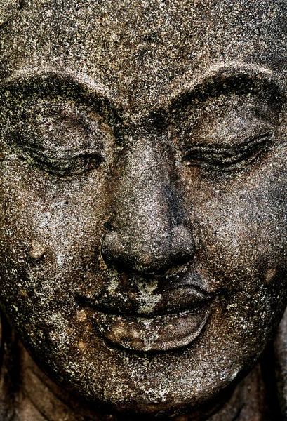 Buda. — Stok fotoğraf
