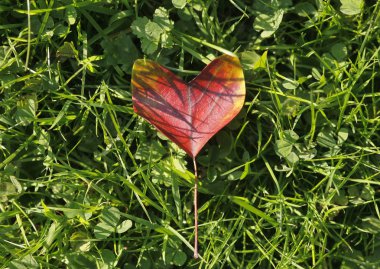 Herbstfarben