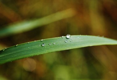 Wassertropfen