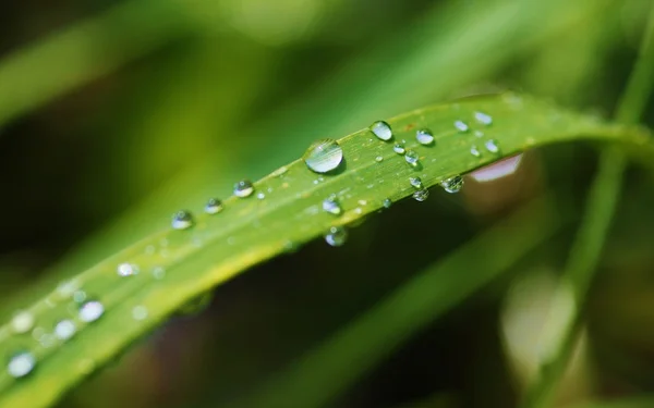 stock image Wassertropfen