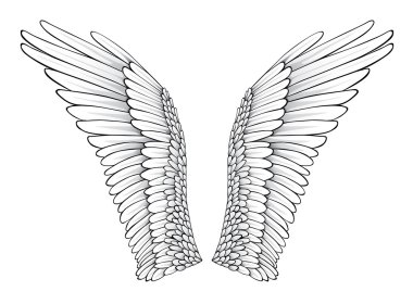 White Wings clipart