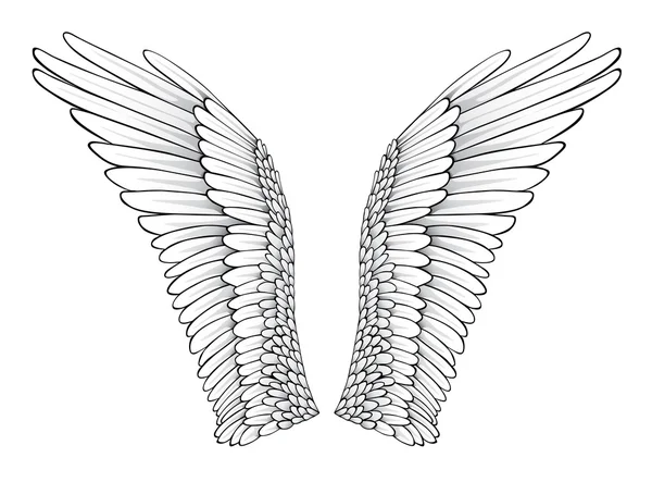 Weiße Flügel — Stockvektor
