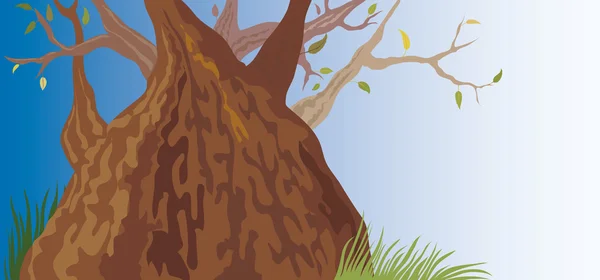 Gamla träd (illustration) — Stock vektor
