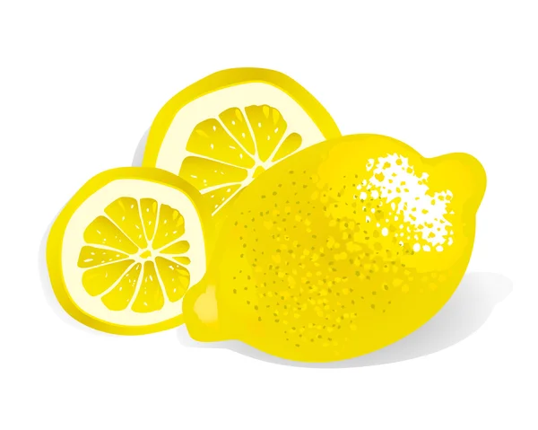 Lemon (illustration) — Stock Vector