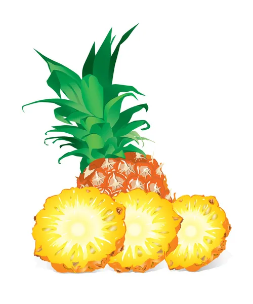 Ananas (illustratie) — Stockvector